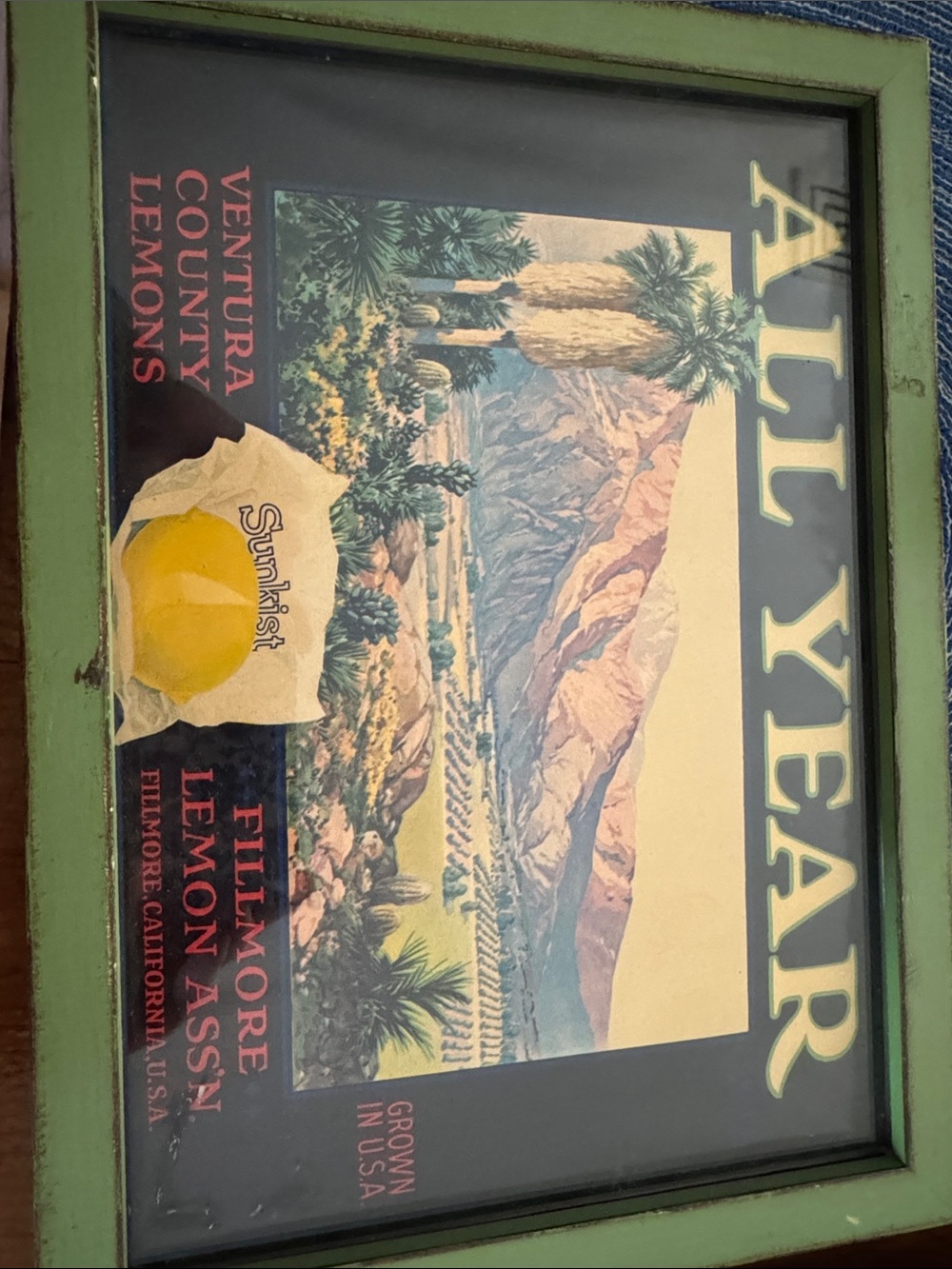 All Year Ventura County Lemons Framed Art Print - Green Frame